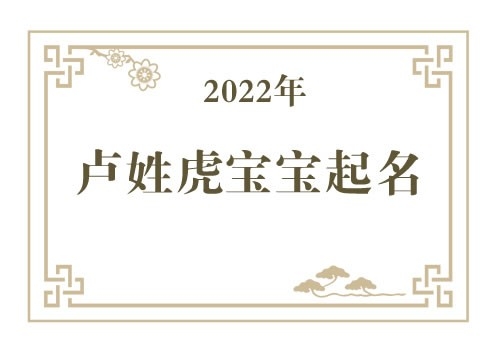 2022年卢姓虎宝宝取名大全