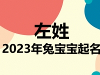 左姓兔宝宝男孩女孩取名大全2023年