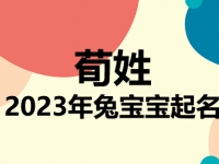 荀姓兔宝宝男孩女孩取名大全2023年