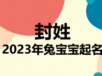 封姓兔宝宝男孩女孩取名大全2023年